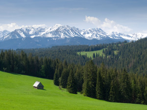iStock_000008545582Small