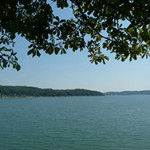 domasa
